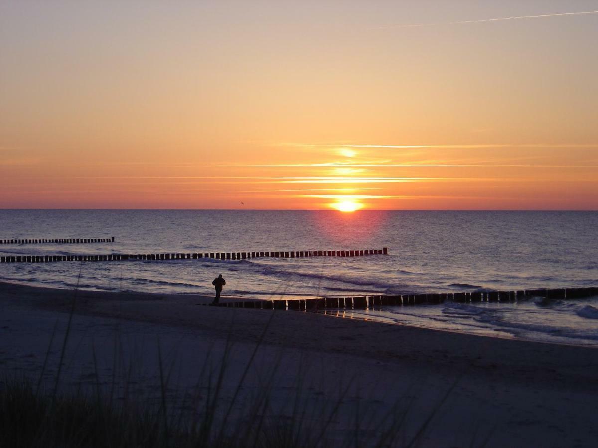 Ferienwohnung Am Strand Zingst Dış mekan fotoğraf