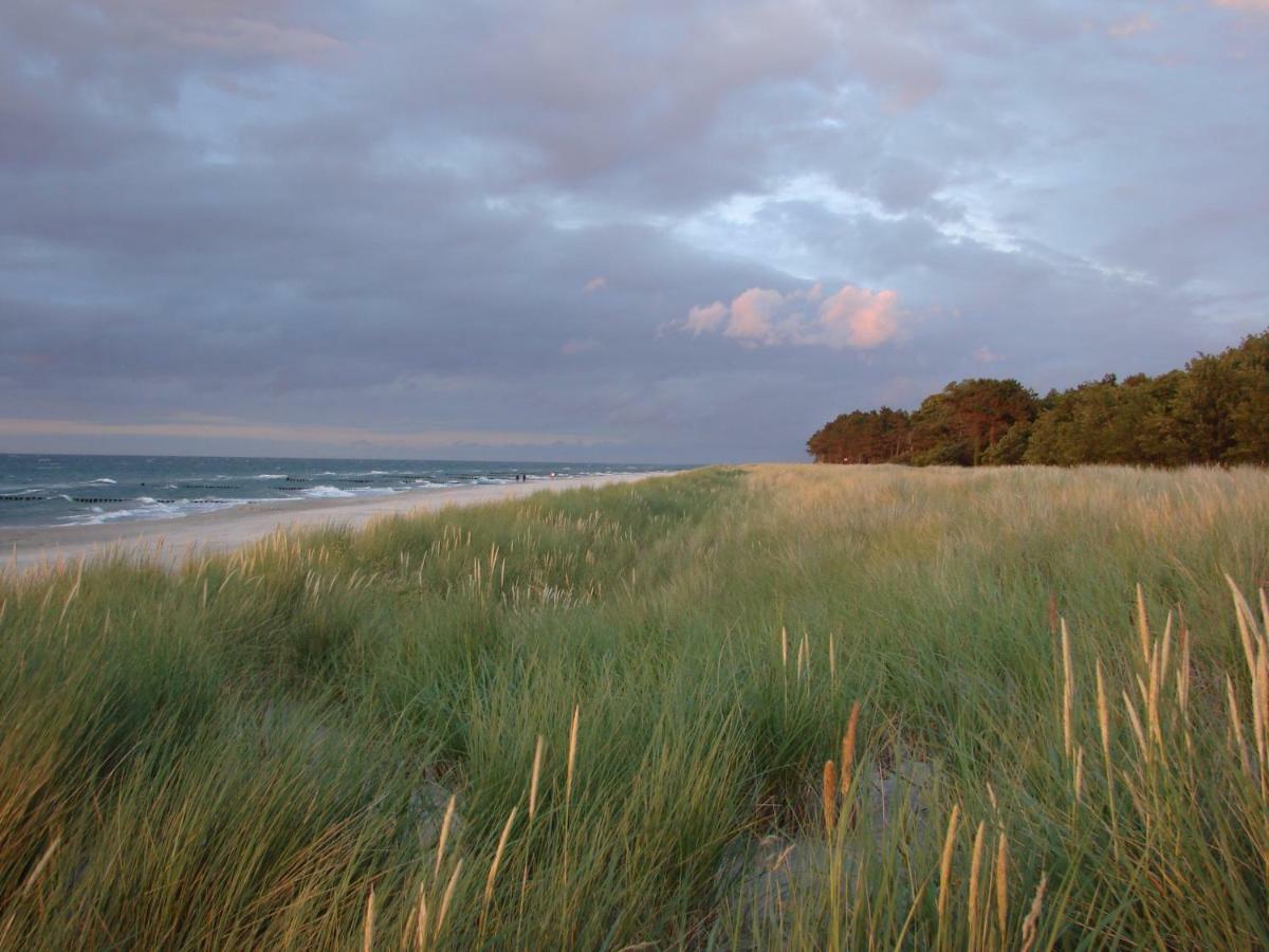 Ferienwohnung Am Strand Zingst Dış mekan fotoğraf
